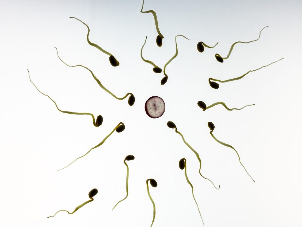 What affects Your Sperm Count?